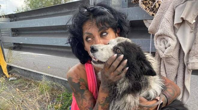 Infernetto, cane smarrito ritrovato dopo 14 giorni in un tombino sulla Colombo: la storia di Lollo