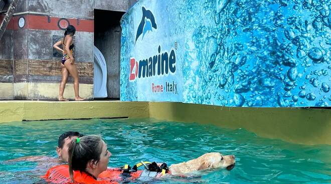 “A quattro zampe”: a Zoomarine un evento per festeggiare i cani bagnini