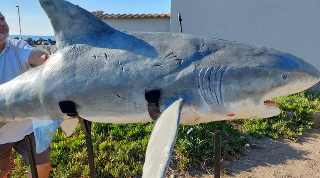 “Denti da squalo”: nei cinema un nuovo film dove il mare di Fiumicino è protagonista