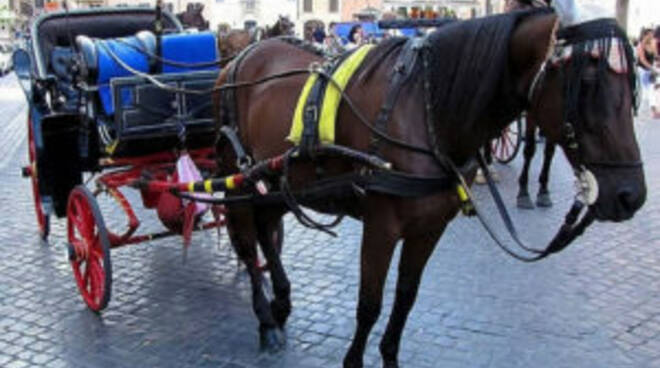 Roma, arriva l’ordinanza “anticaldo” a tutela dei cavalli delle botticelle
