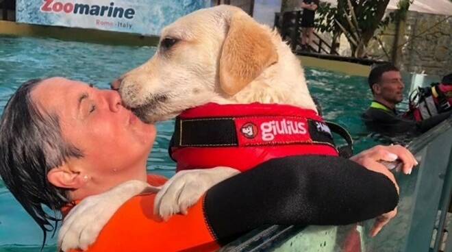 “Splash Dog”: una grande festa a ZooMarine per la Giornata Mondiale del Cane